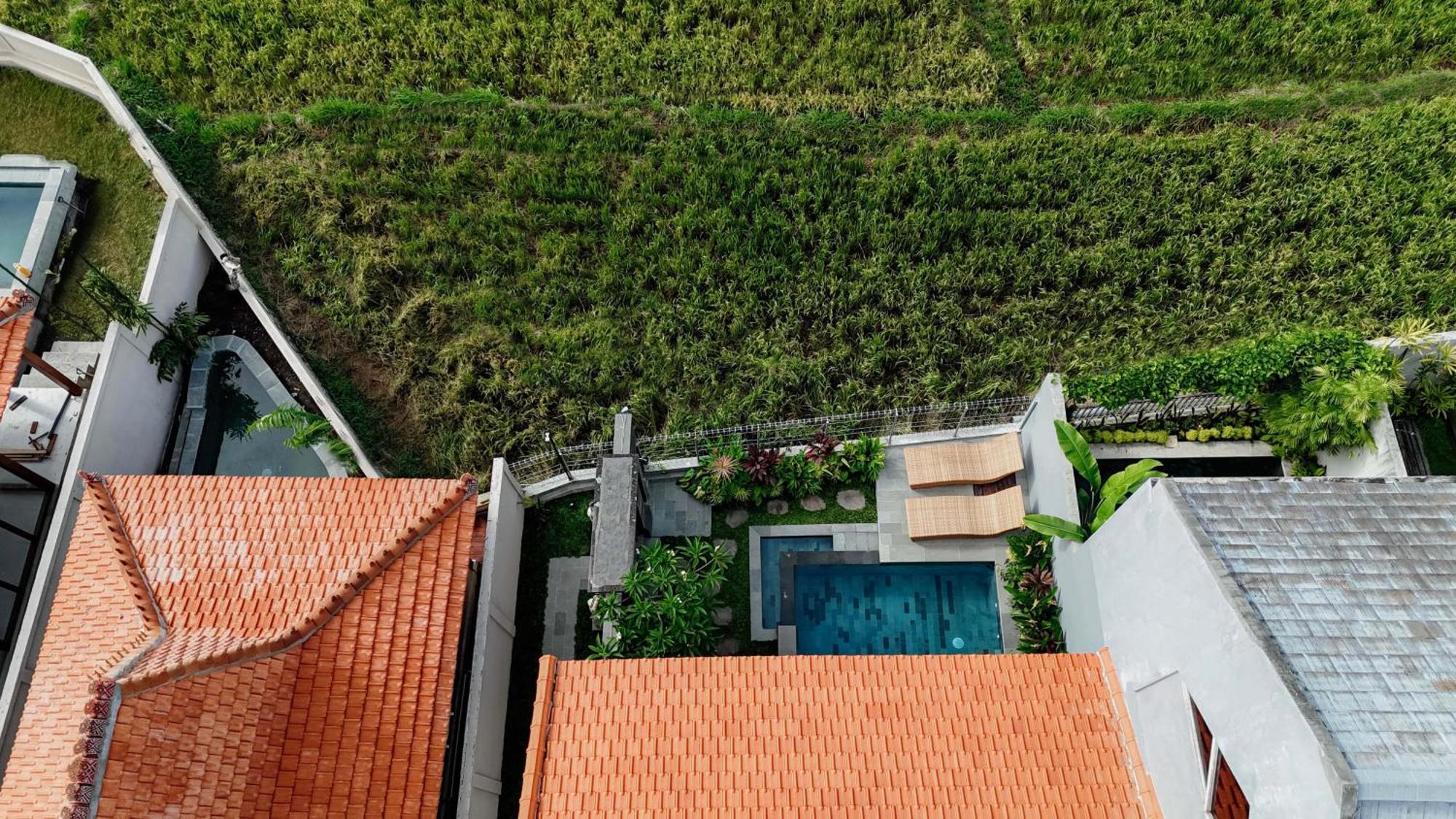 Weda Villas Ουμπούντ Εξωτερικό φωτογραφία
